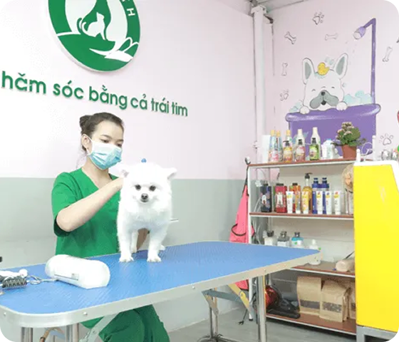 Thiết Kế cửa Hàng đẹp